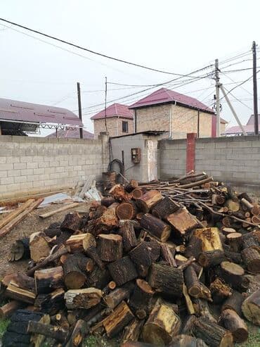 Дрова at lalafo.kg Дрова