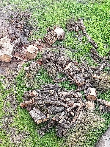 Дрова at lalafo.kg Дрова