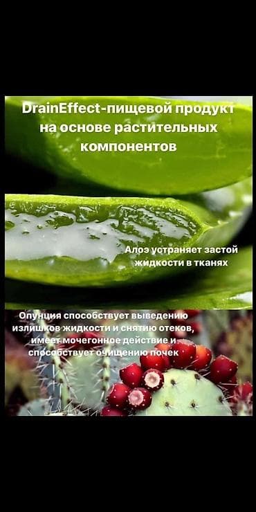 Драйнэффект от компании нл lalafo.kg да — 3 Драйнэффект от компании нл — 3