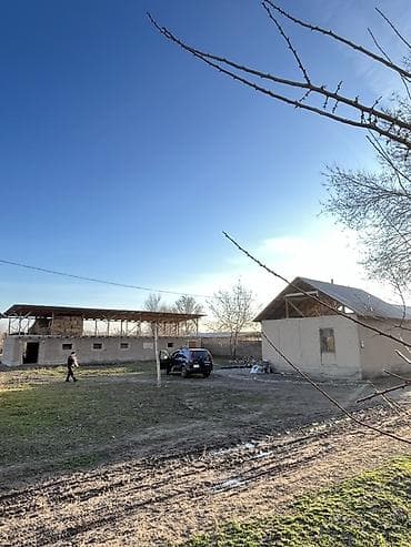 Ферма КРС, 10 соток, Действующий, Без оборудования, Электричество at lalafo.kg Ферма КРС, 10 соток, Действующий, Без оборудования, Электричество