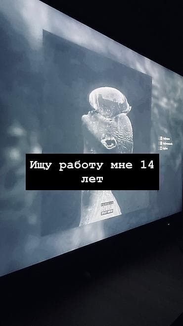 Ищу работу - Не студент, Без опыта, Работа по вечерам at lalafo.kg Ищу работу - Не студент, Без опыта, Работа по вечерам