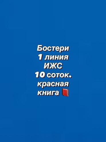 10 соток, Для бизнеса, Красная книга at lalafo.kg 10 соток, Для бизнеса, Красная книга
