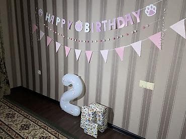 КАРА-БАЛТА
Оформление для дня рождения at lalafo.kg КАРА-БАЛТА
Оформление для дня рождения