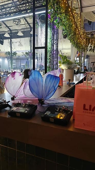 ШОУ// БАБОЧКА//УСЛУГА🦋🦋🦋 Мы устраиваем шоу с летающими бабочками at lalafo.kg ШОУ// БАБОЧКА//УСЛУГА🦋🦋🦋 Мы устраиваем шоу с летающими бабочками