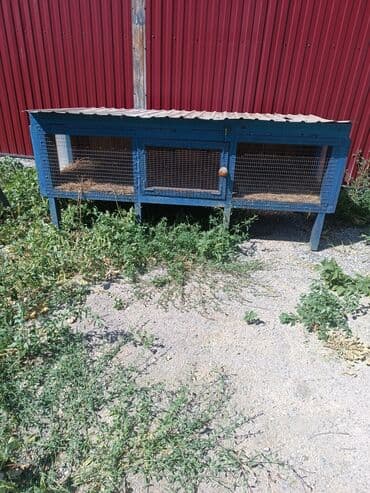 Товары и оборудование для с/х животных at lalafo.kg Товары и оборудование для с/х животных