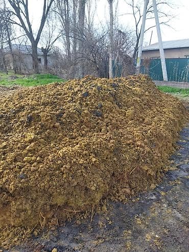 Гамактар: Навоз (органическое удобрение) навоз Бесплатно кому нужно заберите - lalafo.kg да — 2 Гамактар: Навоз (органическое удобрение) навоз Бесплатно кому нужно заберите - — 2