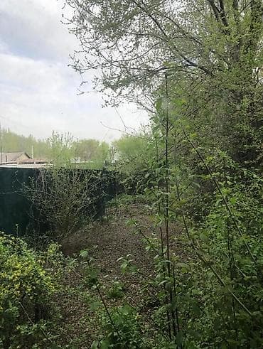 Дом борачного типа lalafo.kg да — 3 Дом борачного типа — 3