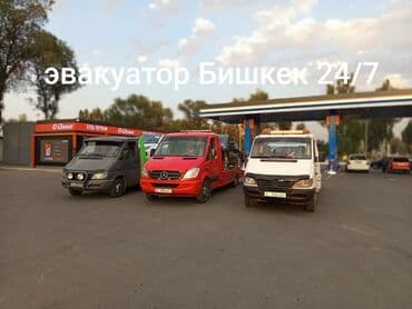 Эвакуатор эвакуатор эвакуатор эвакуатор эвакуатор эвакуатор эвакуатор at lalafo.kg Эвакуатор эвакуатор эвакуатор эвакуатор эвакуатор эвакуатор эвакуатор