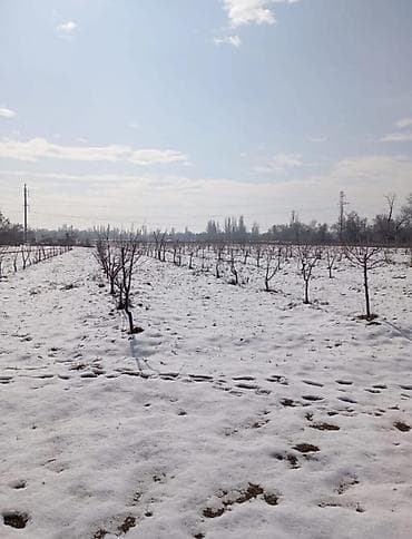 150 соток, Для сельского хозяйства, Красная книга, Договор купли-продажи at lalafo.kg 150 соток, Для сельского хозяйства, Красная книга, Договор купли-продажи