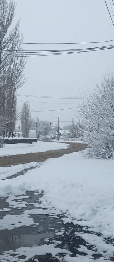 Уборка территории, Уборка снега at lalafo.kg Уборка территории, Уборка снега