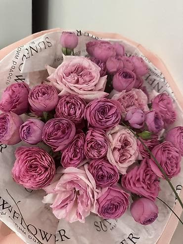 Антуриумдар: Букеты цветов свежие lalafo.kg да — 1 Антуриумдар: Букеты цветов свежие — 1