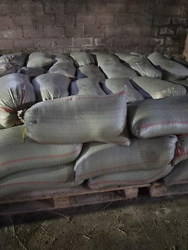 Продаю соль кормовой есть 3 тонны по 8 сом находится в ивановке at lalafo.kg Продаю соль кормовой есть 3 тонны по 8 сом находится в ивановке