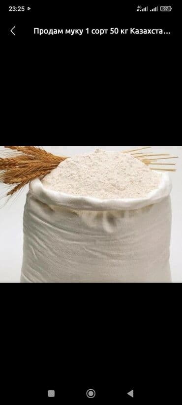 МУКА 2 сорт - 1100 сом. 45кг. Мука 3 сорт- 750сом. 35кг. Доставка at lalafo.kg МУКА 2 сорт - 1100 сом. 45кг. Мука 3 сорт- 750сом. 35кг. Доставка