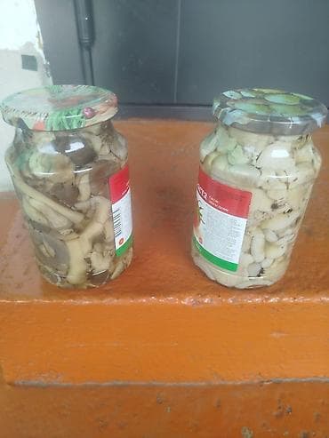 Маринованные грибы вешенки и синеножки 600 за 1 банку at lalafo.kg Маринованные грибы вешенки и синеножки 600 за 1 банку