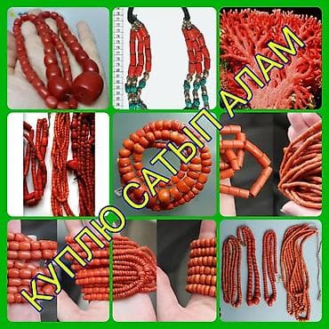 Lotus: Скупка антиквариата для коллекции. Ищу и покупаю: - монеты СССР и at lalafo.kg — 3 Lotus: Скупка антиквариата для коллекции. Ищу и покупаю: - монеты СССР и — 3