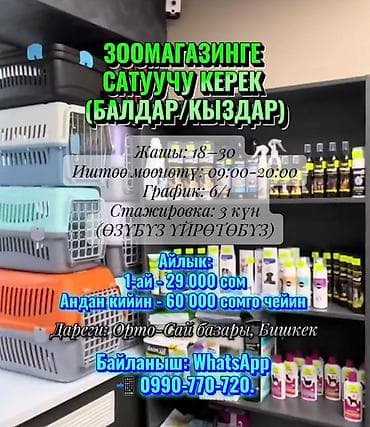 ?АГАЗИНГЕ САТУУЧУ КЕРЕК (БАЛДАР/КЫЗДАР) 6000 Жашы: 18–30 Иштөө at lalafo.kg ?АГАЗИНГЕ САТУУЧУ КЕРЕК (БАЛДАР/КЫЗДАР) 6000 Жашы: 18–30 Иштөө