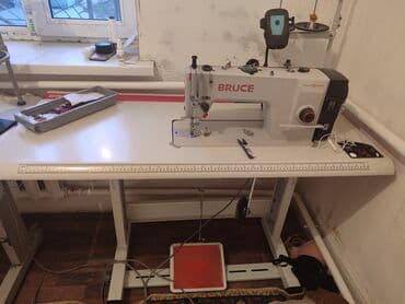 Bruce, В наличии, Самовывоз at lalafo.kg Bruce, В наличии, Самовывоз