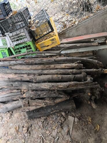 Дрова at lalafo.kg Дрова