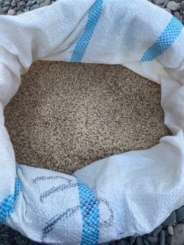 Жакшы груч бар 1,жарым тонна баасы 150тен Жалал Абада at lalafo.kg Жакшы груч бар 1,жарым тонна баасы 150тен Жалал Абада