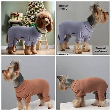 ПРОДАЮ НОВЫЕ КОМБЕЗЫ ДЛЯ СОБАК И КОШЕК,А ТАК ЖЕ ДРУГИЕ ЗОО ТОВАРЫ at lalafo.kg ПРОДАЮ НОВЫЕ КОМБЕЗЫ ДЛЯ СОБАК И КОШЕК,А ТАК ЖЕ ДРУГИЕ ЗОО ТОВАРЫ