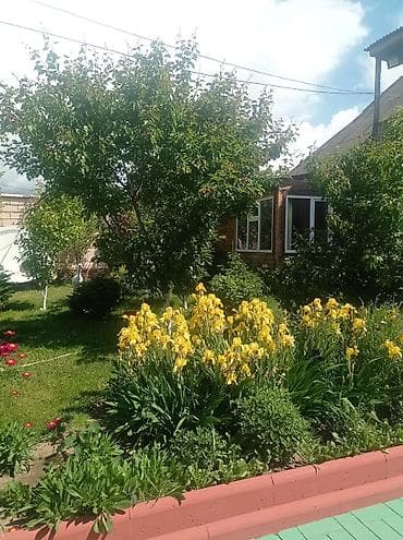 Продажа времянок: Продается большой добротный дом 500кв.м. уч.12 сот. дом находиться в at lalafo.kg — 7 Продажа времянок: Продается большой добротный дом 500кв.м. уч.12 сот. дом находиться в — 7