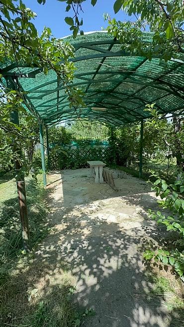 Продажа дач: Продается дача в верхней части города Кашка Суу горнолыжная база не at lalafo.kg — 9 Продажа дач: Продается дача в верхней части города Кашка Суу горнолыжная база не — 9