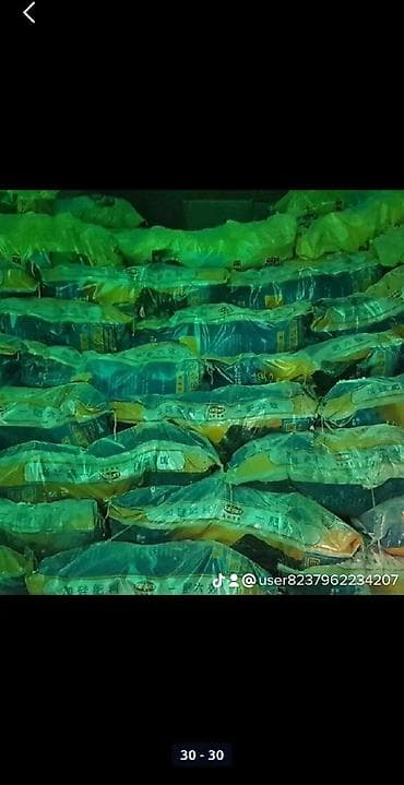 пульверизатор для побелки известью купить: Акиташ,шыбака. акилегени .тоок. балык баккандарга хоз товарлар at lalafo.kg — 3 пульверизатор для побелки известью купить: Акиташ,шыбака. акилегени .тоок. балык баккандарга хоз товарлар — 3