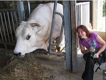 🐎 Стимулятор набора веса со стволовыми клетками костный жир со at lalafo.kg 🐎 Стимулятор набора веса со стволовыми клетками костный жир со