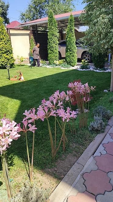 Сеем и косим газонную травууслуги ландшафтный дизайнер,услуги lalafo.kg да — 3 Сеем и косим газонную травууслуги ландшафтный дизайнер,услуги — 3