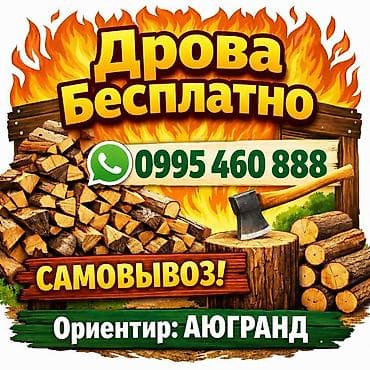 Дрова Сосна, Самовывоз at lalafo.kg Дрова Сосна, Самовывоз