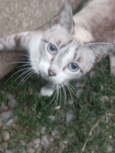 Срочно ищу работу любого типа с нормальной стабильной зп на долгий at lalafo.kg Срочно ищу работу любого типа с нормальной стабильной зп на долгий