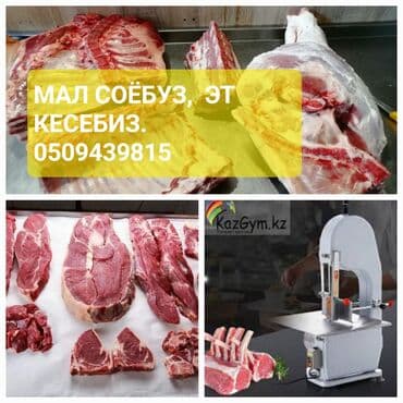 apple mac: Выездные банкеты | Эт башчы, Касапчы at lalafo.kg — 1 apple mac: Выездные банкеты | Эт башчы, Касапчы — 1