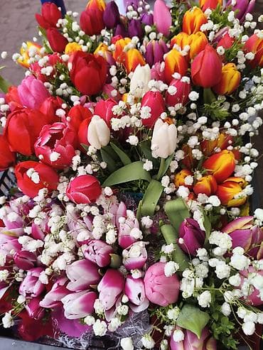 LED гирляндалар: ЯРМАРКА ВЕФА ГОРЬКОГО Тюльпаны и готовые букеты - Сорта и расцветки lalafo.kg да — 5 LED гирляндалар: ЯРМАРКА ВЕФА ГОРЬКОГО Тюльпаны и готовые букеты - Сорта и расцветки — 5