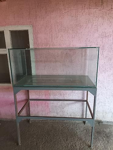 Аквариум для рыбы 🐟 350литр качество чотка Осмотр район Дордой at lalafo.kg Аквариум для рыбы 🐟 350литр качество чотка Осмотр район Дордой