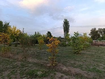 Линолеум: 6 соток, Курулуш, Кызыл китеп, Сатып алуу-сатуу келишими lalafo.kg да — 9 Линолеум: 6 соток, Курулуш, Кызыл китеп, Сатып алуу-сатуу келишими — 9