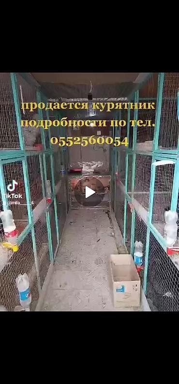 Продаётся вальер длина 4 м ширина 3 высота 2,5 м есть криша at lalafo.kg Продаётся вальер длина 4 м ширина 3 высота 2,5 м есть криша