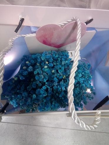 Вечные цветы могут стоять 5-6 лет!есть разные морфы с подсветкой at lalafo.kg Вечные цветы могут стоять 5-6 лет!есть разные морфы с подсветкой