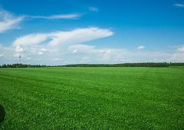 192 соток, Для сельского хозяйства at lalafo.kg 192 соток, Для сельского хозяйства