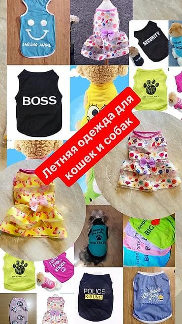 Одежда для кошек и собак. Все НОВОЕ РАЗМЕР И ЦЕНА УКАЗАНЫ НА ФОТО at lalafo.kg Одежда для кошек и собак. Все НОВОЕ РАЗМЕР И ЦЕНА УКАЗАНЫ НА ФОТО