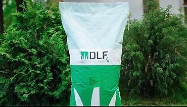 Газон Семена европейского газона DLF (Дания) *Солнечные *Теневые at lalafo.kg — 9 Газон Семена европейского газона DLF (Дания) *Солнечные *Теневые — 9