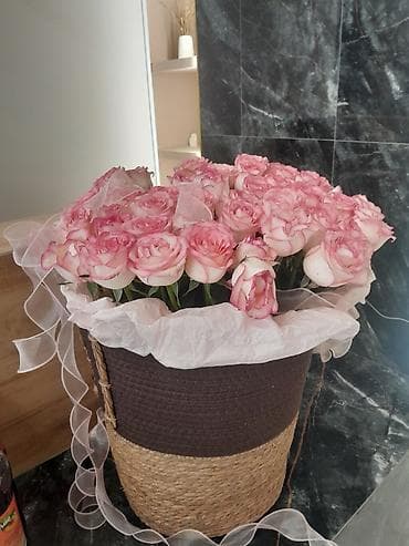 Срочно только сегодня 1500 at lalafo.kg Срочно только сегодня 1500