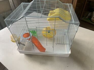 Деңиз чочколору: Клетка хомячка двухуровневая поилка, кормушка, домик, колесо, горка lalafo.kg да — 2 Деңиз чочколору: Клетка хомячка двухуровневая поилка, кормушка, домик, колесо, горка — 2