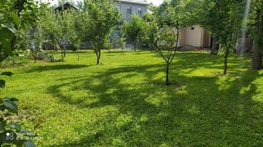 Услуги Садовника! Стрижка газона со своей at lalafo.kg Услуги Садовника! Стрижка газона со своей