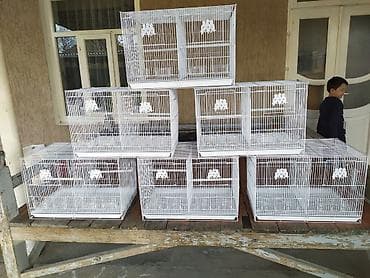 ΠΠ»Π΅ΡΠΊΠΈ Π΄Π»Ρ ΠΏΡΠΈΡ (ΠΌΠΎΠ΄ΡΠ»ΡΠ½ΡΠ΅, ΡΠ°Π·Π±ΠΎΡΠ½ΡΠ΅), Π±Π΅Π»ΡΠΉ ΠΌΠ΅ΡΠ°Π»Π» - ΠΠ°ΡΠ΅ΡΠΈΠ°Π» at lalafo.kg ΠΠ»Π΅ΡΠΊΠΈ Π΄Π»Ρ ΠΏΡΠΈΡ (ΠΌΠΎΠ΄ΡΠ»ΡΠ½ΡΠ΅, ΡΠ°Π·Π±ΠΎΡΠ½ΡΠ΅), Π±Π΅Π»ΡΠΉ ΠΌΠ΅ΡΠ°Π»Π» - ΠΠ°ΡΠ΅ΡΠΈΠ°Π»