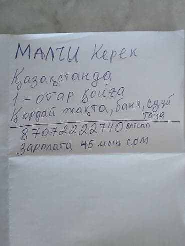Вакансия: требуется пастух (малшы). Описание: - Работа в Казахстане at lalafo.kg Вакансия: требуется пастух (малшы). Описание: - Работа в Казахстане