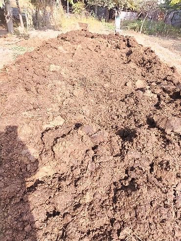 Навоз кык бесплатно at lalafo.kg Навоз кык бесплатно