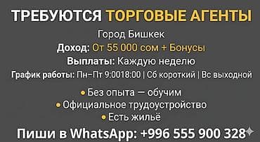 Требуется Торговый агент, График: Пятидневка, Без опыта, Официальное трудоустройство, Полный рабочий день at lalafo.kg Требуется Торговый агент, График: Пятидневка, Без опыта, Официальное трудоустройство, Полный рабочий день