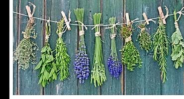 Продаю горные лекарственные травы. Состав ассортимента: - Мята at lalafo.kg Продаю горные лекарственные травы. Состав ассортимента: - Мята