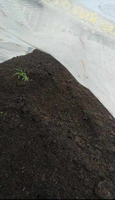 В тоннах, Бесплатная доставка, Зил, Камаз at lalafo.kg В тоннах, Бесплатная доставка, Зил, Камаз