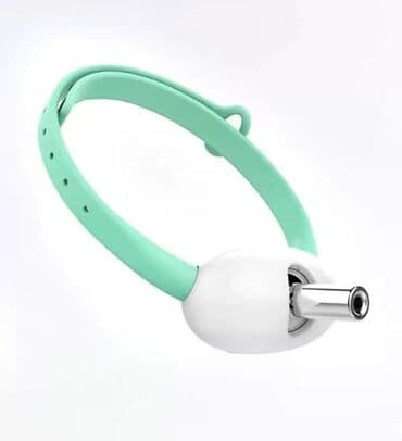 Зоотовары.
Игрушки для животных at lalafo.kg Зоотовары.
Игрушки для животных